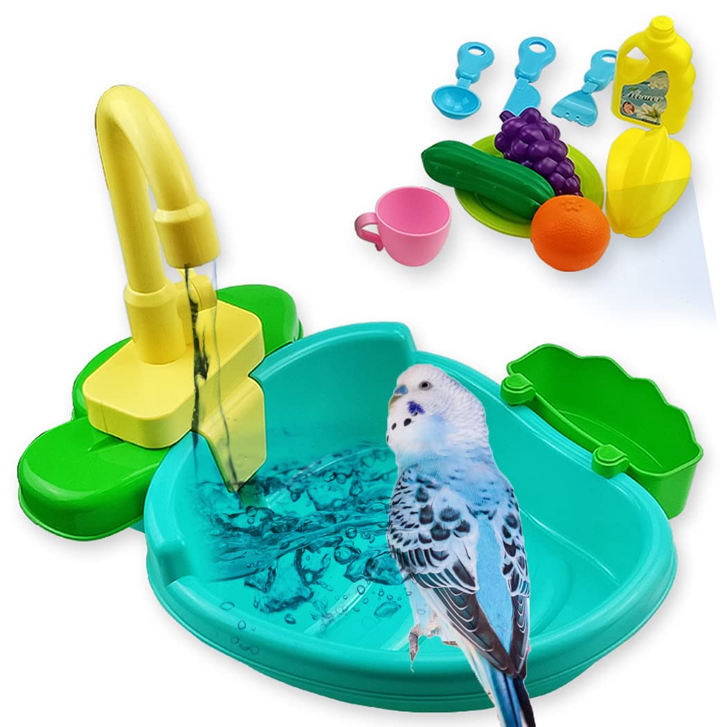 セキセイインコの水浴び容器決定版！外付けから100均代用まで徹底比較