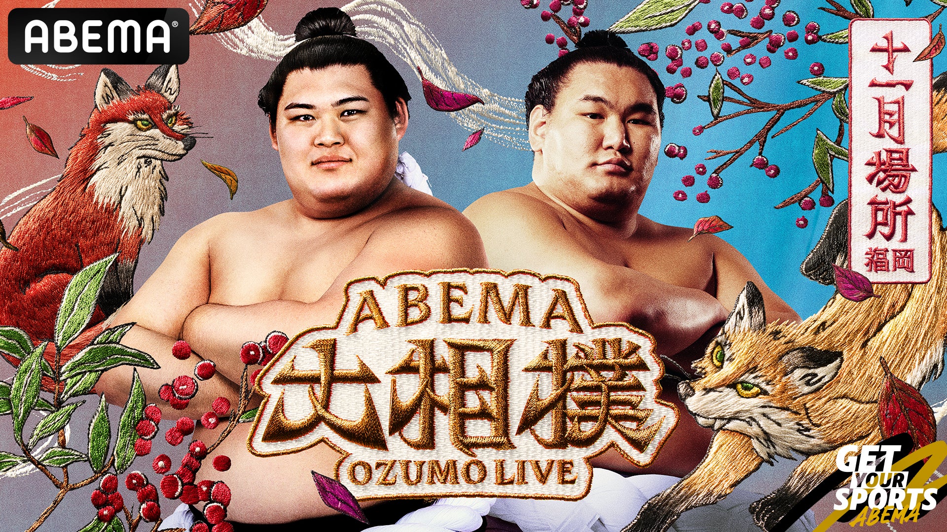 大相撲11月場所2026総力取材！日程・チケットと優勝の真相