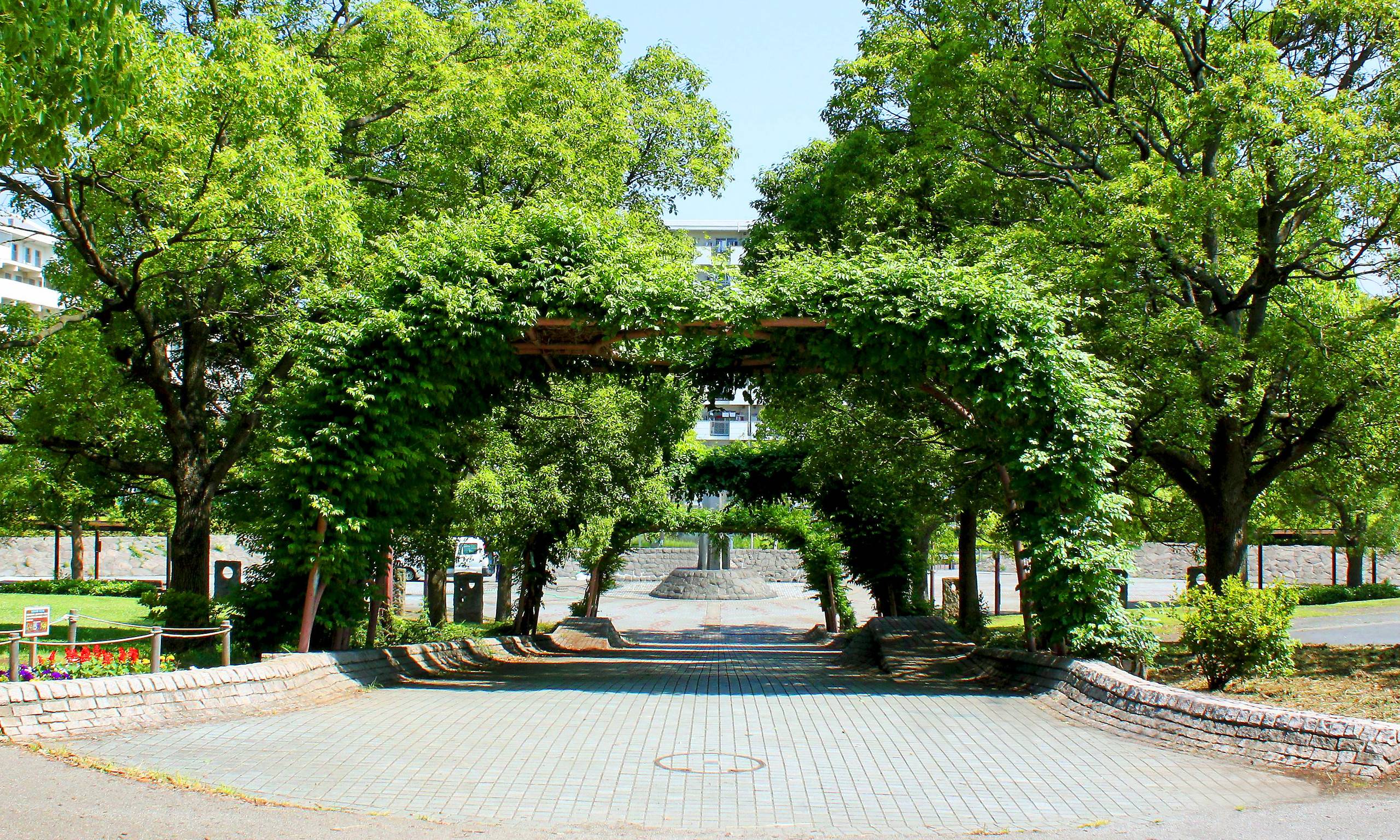 長浜公園が愛される理由とは？混雑回避と見どころを2026年徹底検証