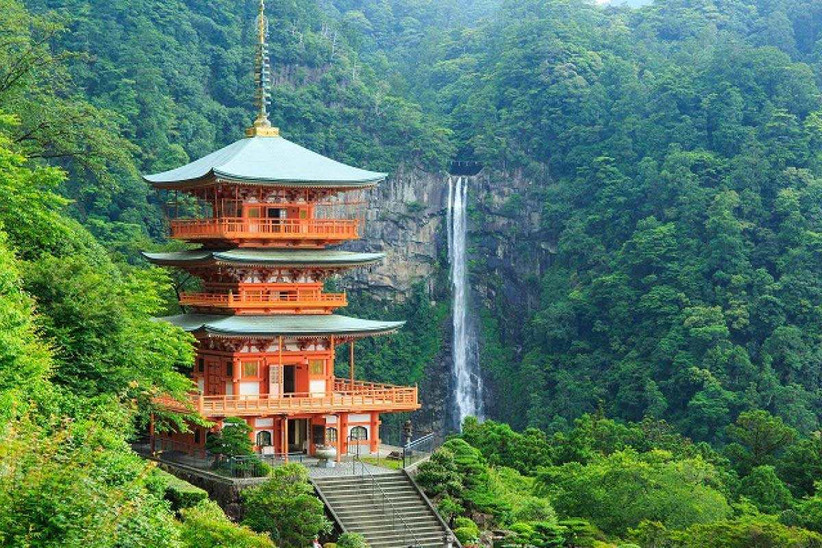【2026年最新】和歌山市の誕生日ディナー！絶対に失敗しない名店特集