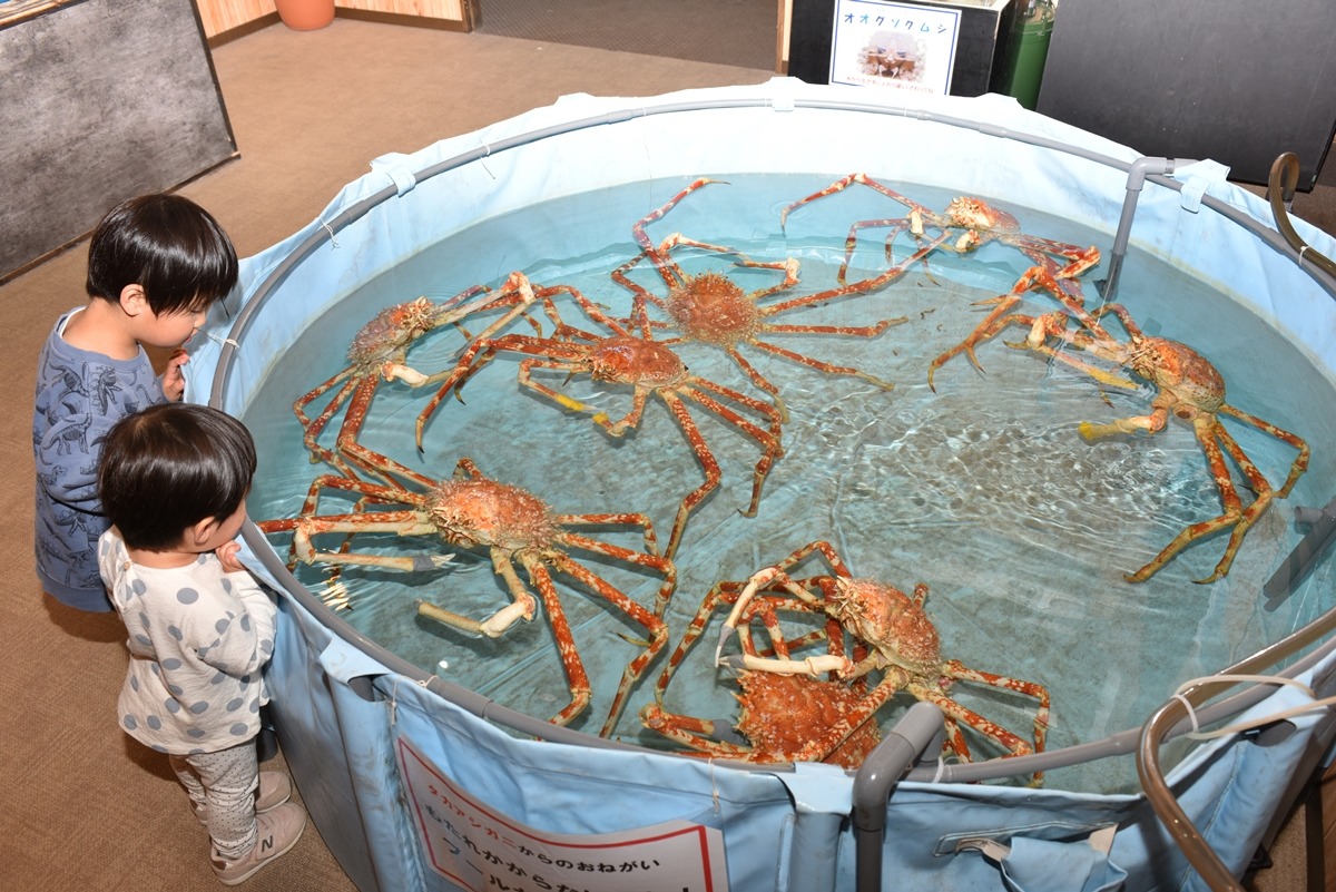 エビとカニの水族館は面白い？料金・口コミと見どころ徹底検証