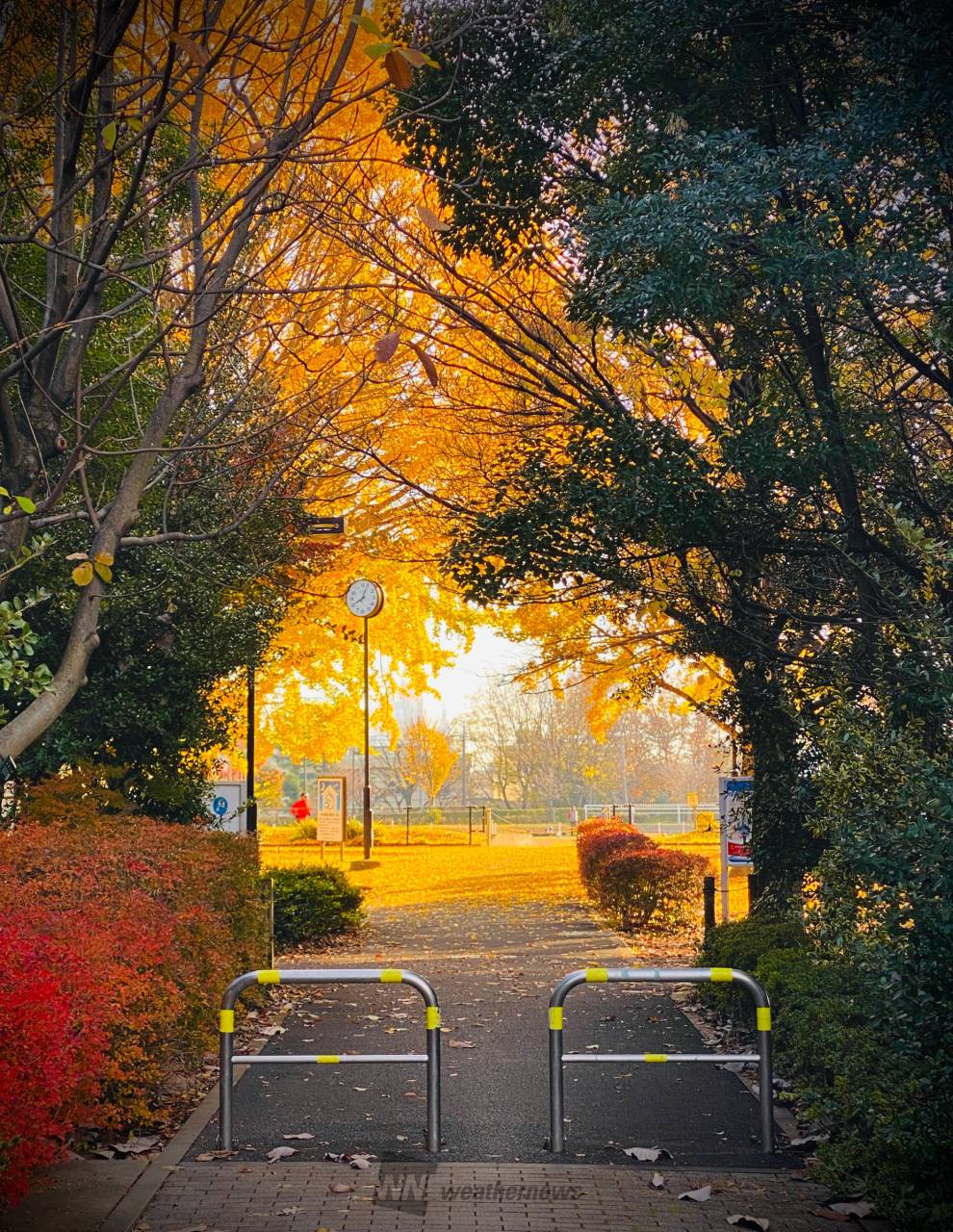 霞ヶ浦の風と咲き誇る花の絶景。2026年、進化を遂げた「和田公園」が今、大人たちの至高の癒やし場に選ばれる理由