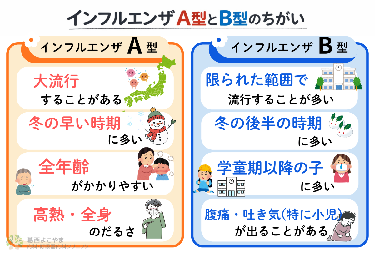 インフルエンザB型の特徴とは？微熱や下痢の真相とA型の違い【2026】