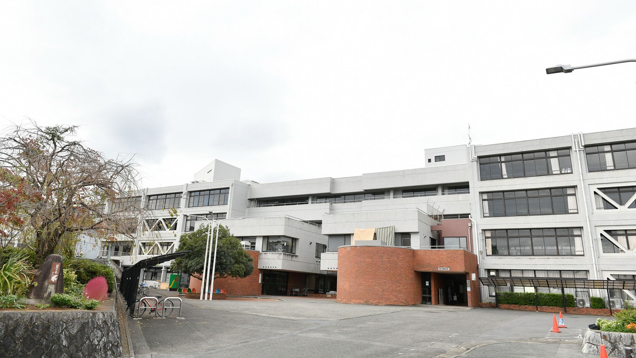 和光高校の偏差値と入試難易度｜芸能人の子供が選ぶ理由と自由の真実