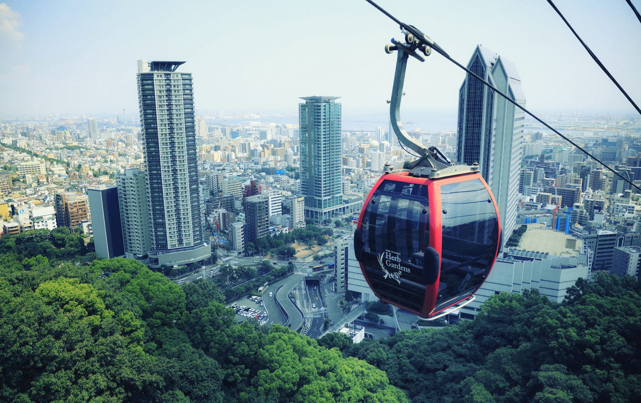 神戸布引ハーブ園ロープウェイ完全攻略【2026最新】裏技と絶景