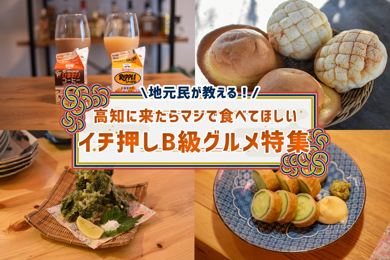 【2026最新】高知B級グルメの真相！地元民が溺愛する隠れ名物を徹底解説