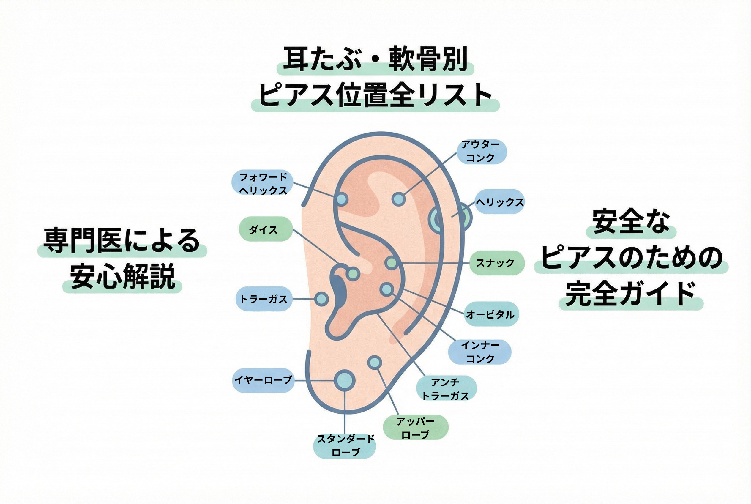軟骨ピアスの位置で一番痛くない場所は？全部位の特徴と後悔しない選び方