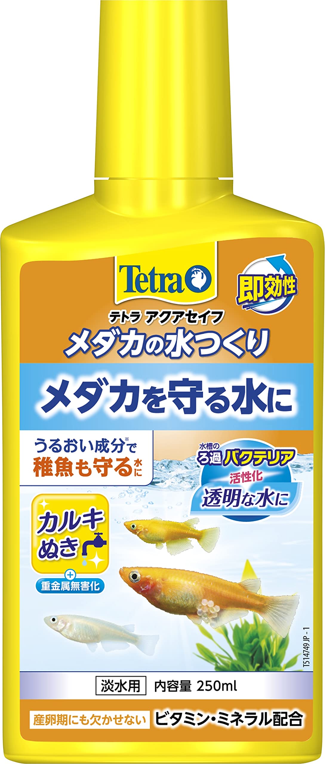 メダカの水作りで全滅を防ぐ！失敗しないカルキ抜きと水質管理の鉄則