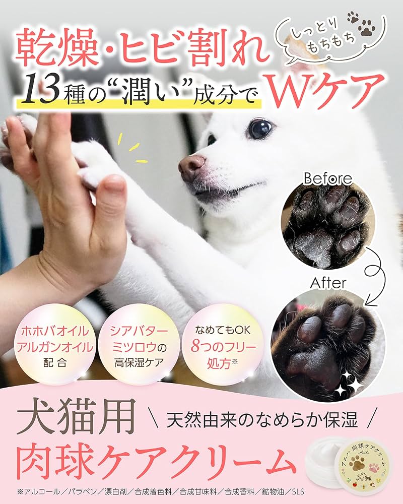 愛犬の肉球カサカサ放置は危険？正しいケアと2026年最新保湿術