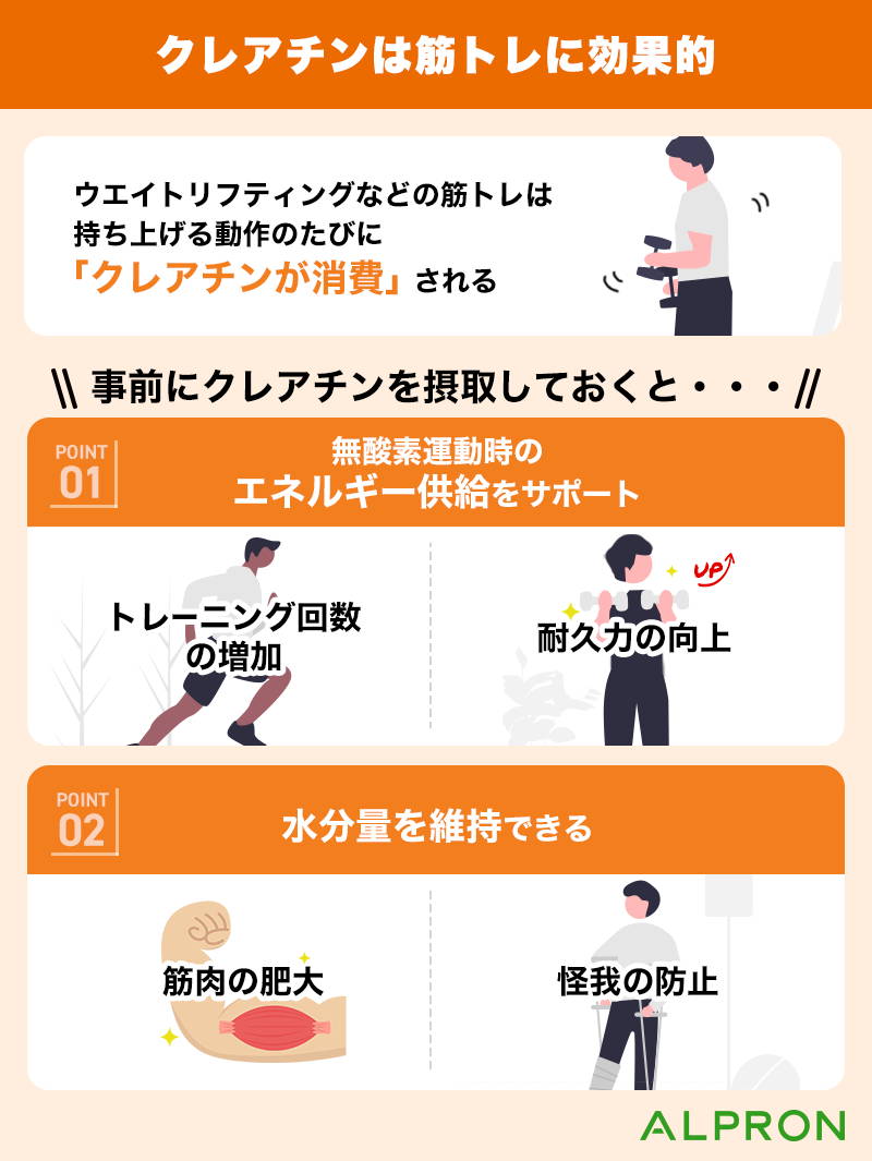 クレアチンを飲むタイミングは筋トレ後？効果を最大化する飲み方の真相