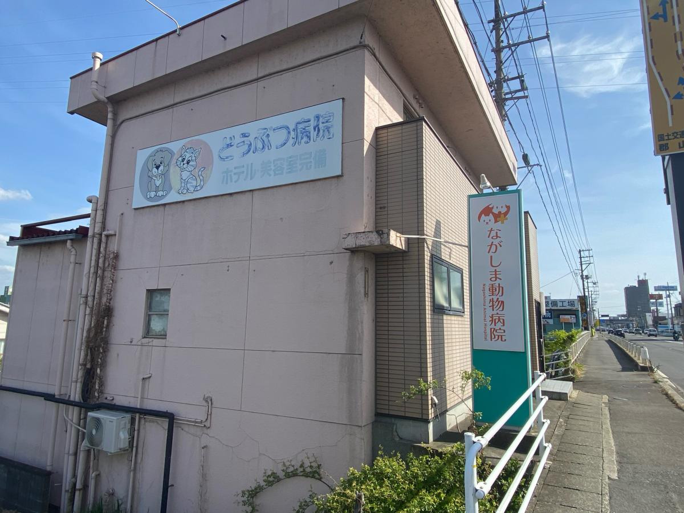 ながしま動物病院の評判は本当？診察料金と待ち時間の真相を徹底解説