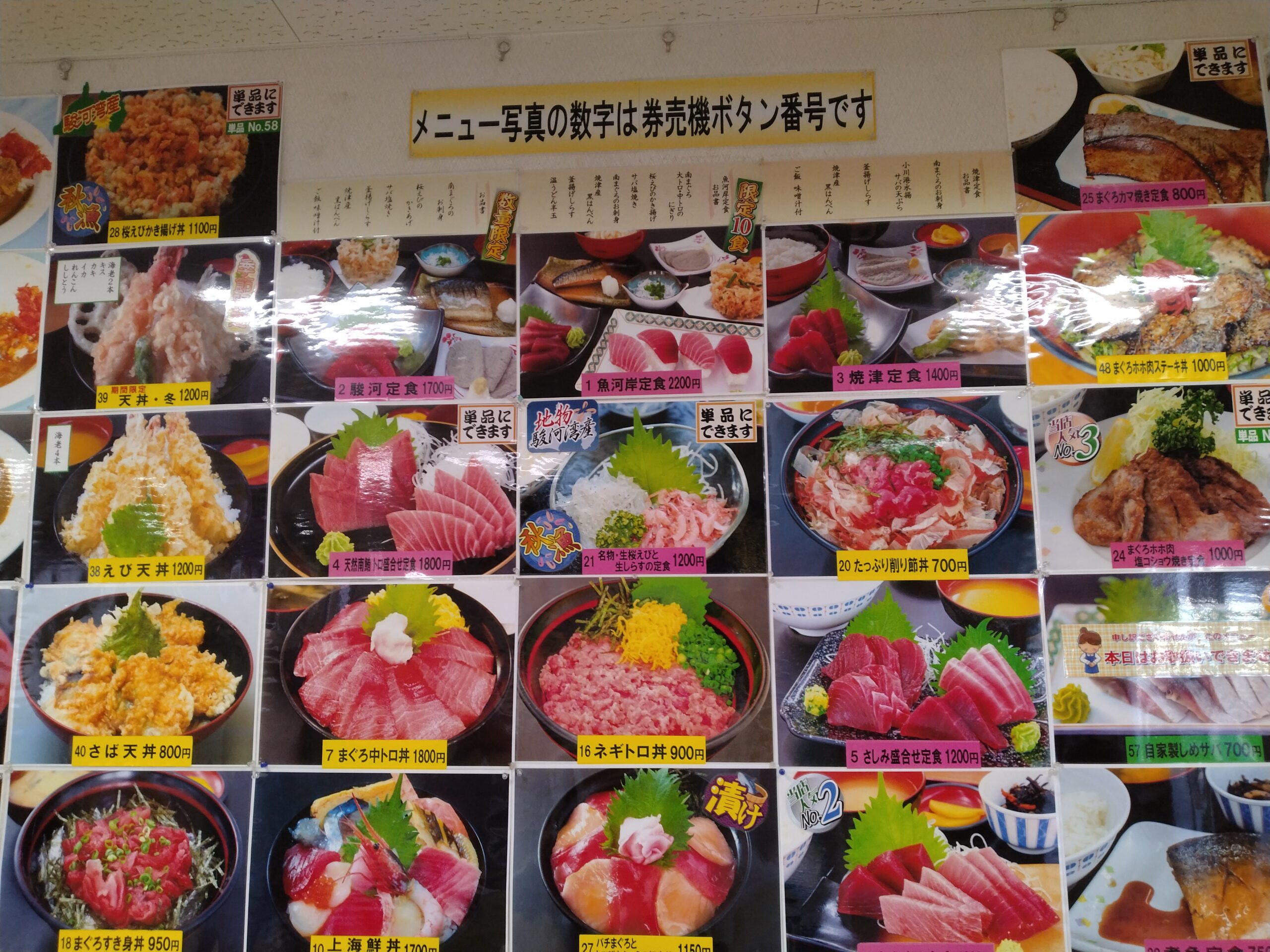 焼津の小川港魚河岸食堂に行列ができる理由とは？名物海鮮丼の真価とコスパの真相【2026最新】