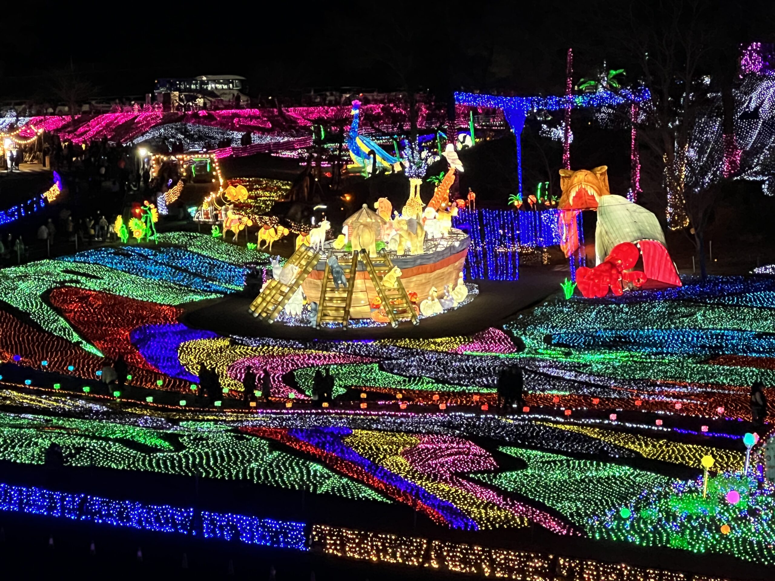 東京ドイツ村イルミネーション2026大渋滞の真相と混雑回避裏ワザ
