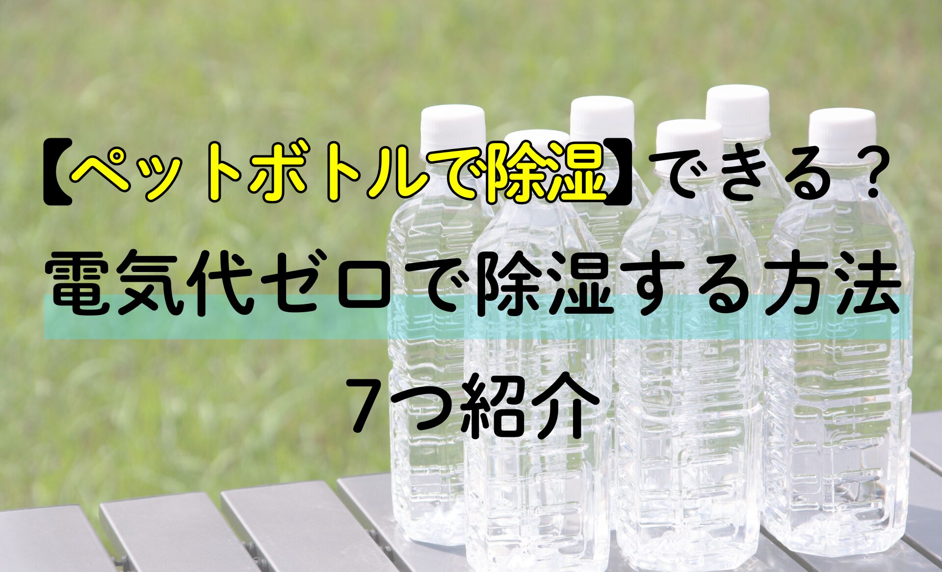 2026年介護福祉士試験で「絶対出る」とされた頻出論点と合否の盲点