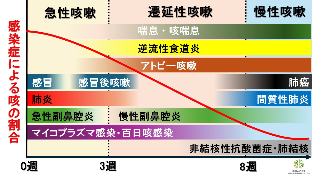 2週間咳が止まらないのはなぜ？熱なし放置の危険性と正しい受診科