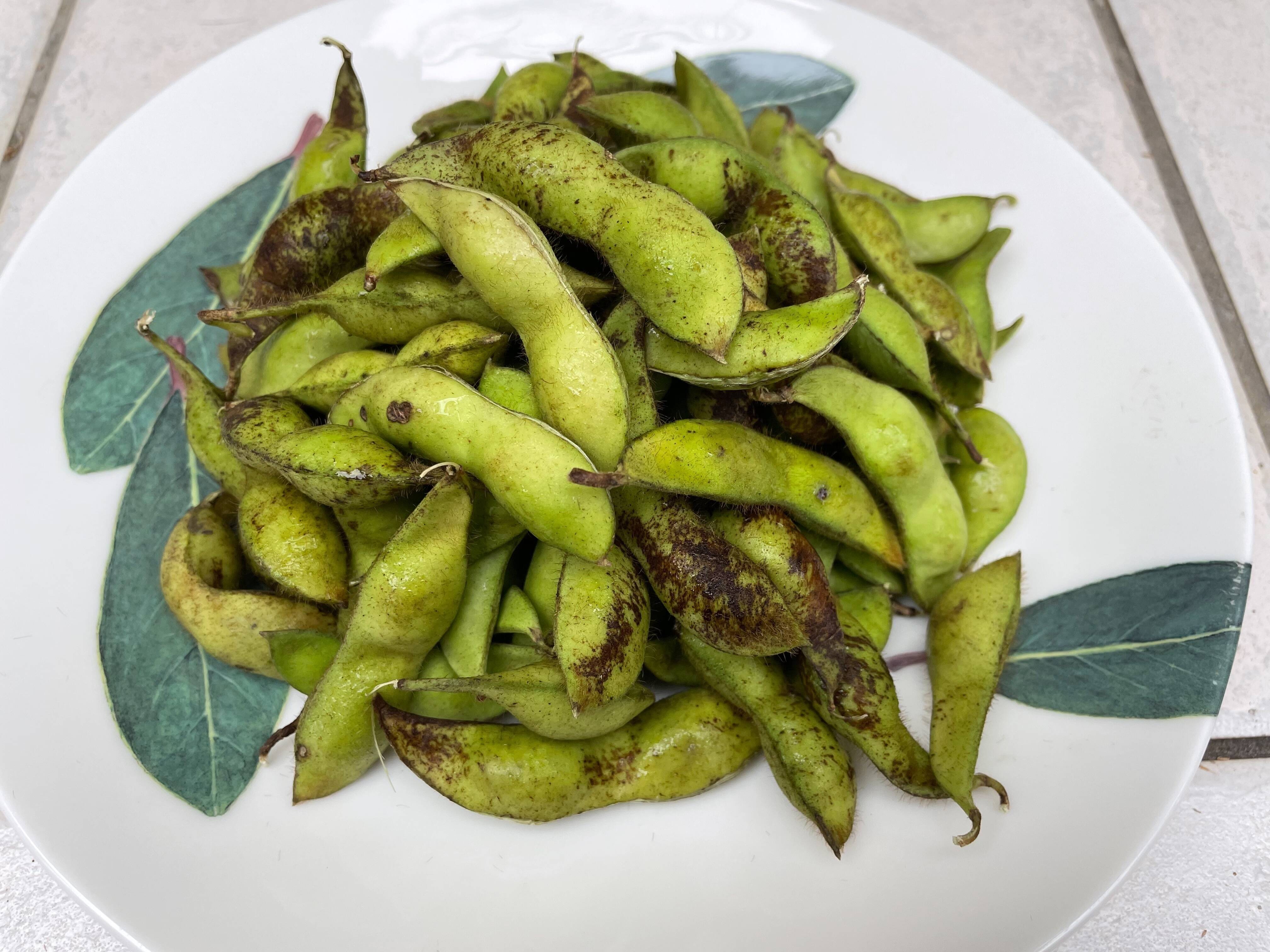 黒枝豆の茹で方は塩分4％が鉄則！丹波篠山の旨味を極める黄金比