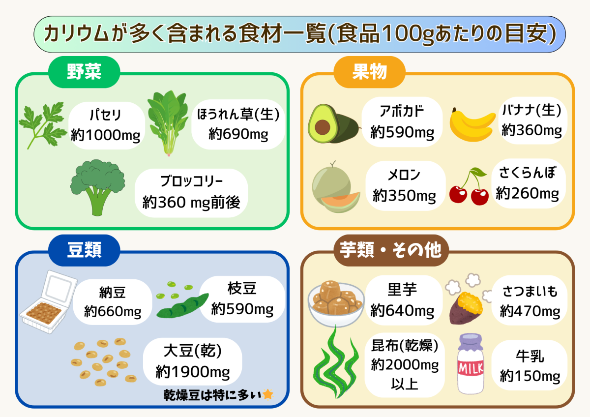 カリウムが多い食材ランキング！バナナ超えの意外な食品と効果的摂取法