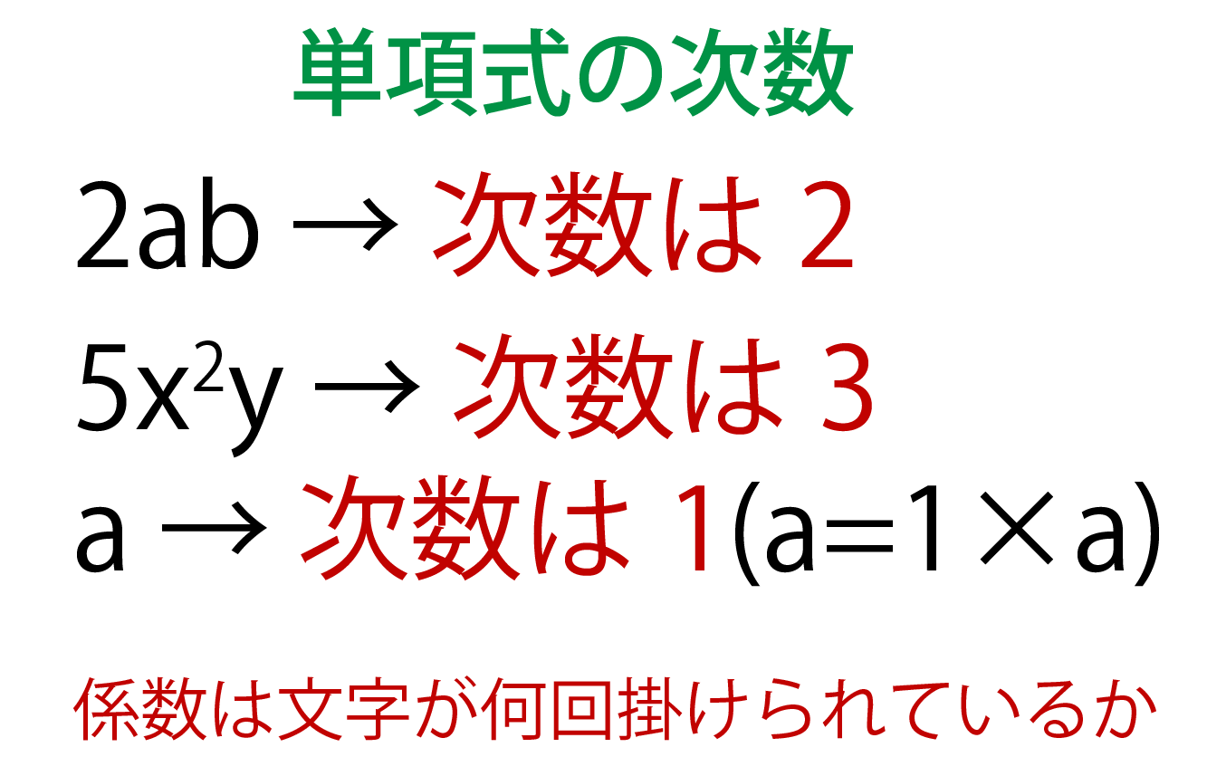次数とは？係数との決定的な違いと見分け方を徹底解説【2026年最新】
