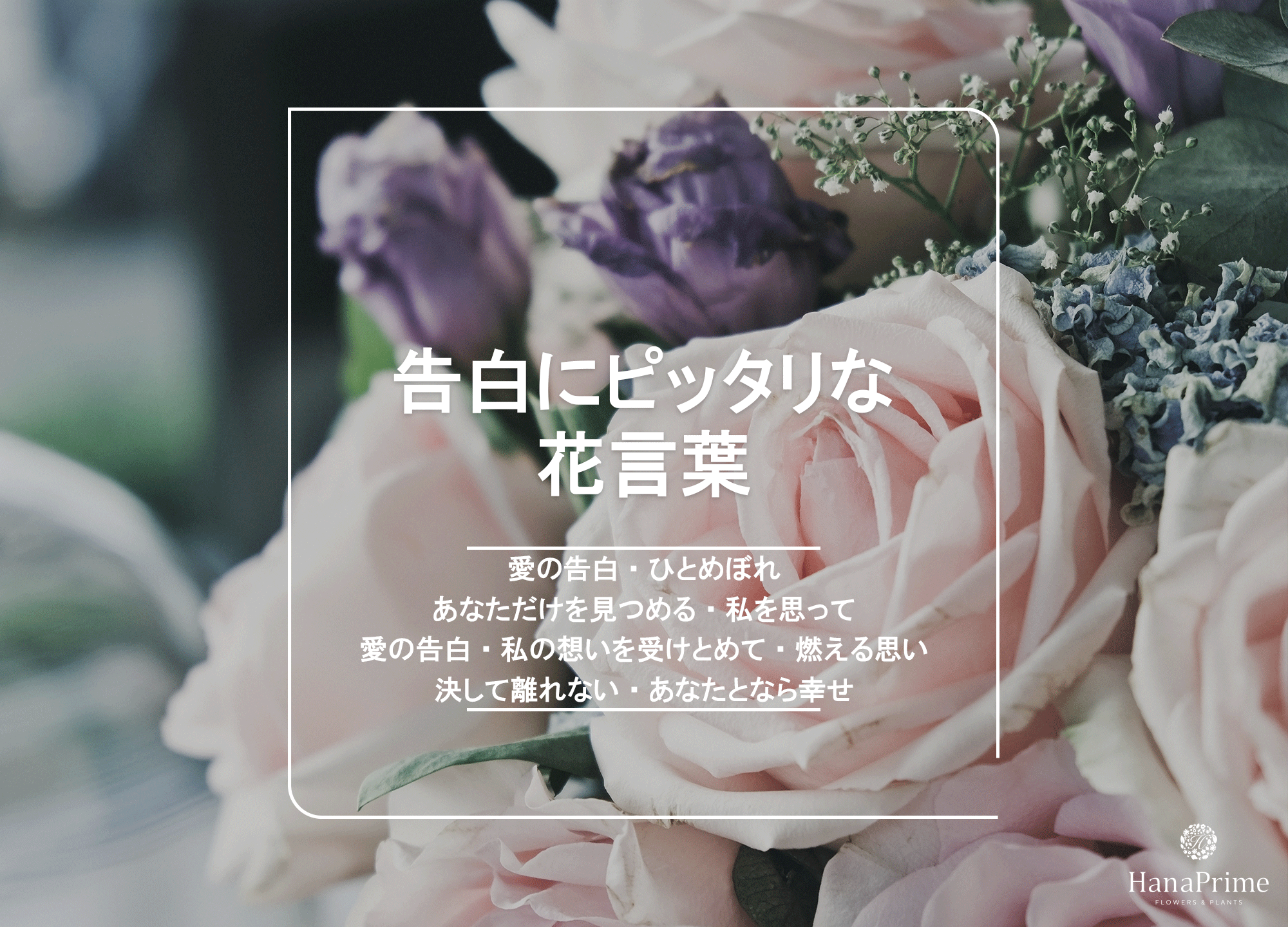 告白の花言葉と本数の真実！渡すと危険な裏の意味と2026年最新選び方