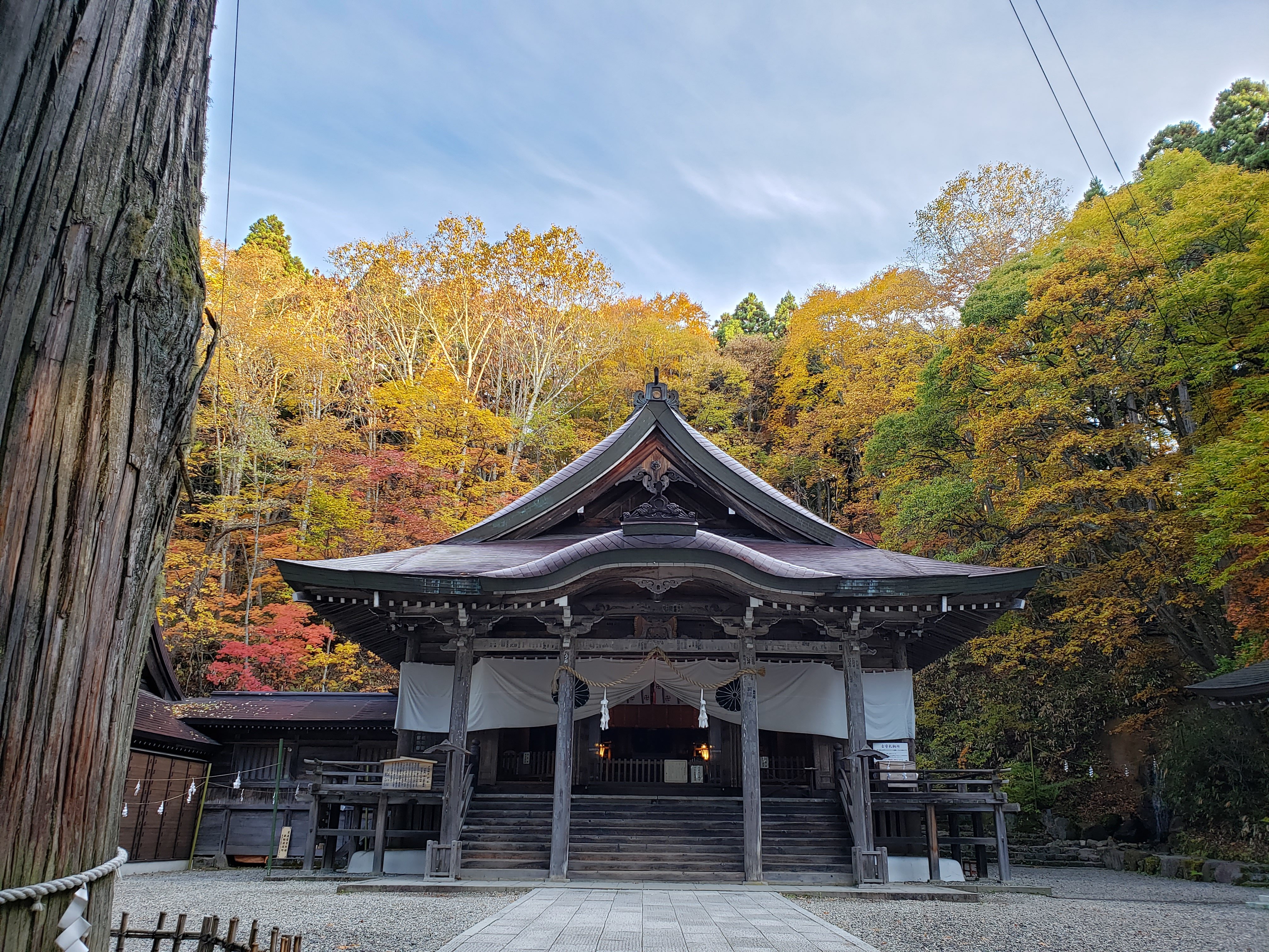 最強パワースポット神社2026！相性とご利益の真実を徹底解説