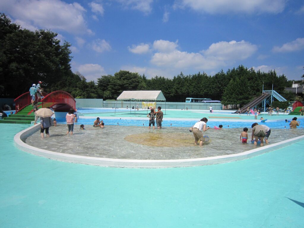 宇都宮動物園プール2026最新攻略！料金・水深やおむつルール徹底解説