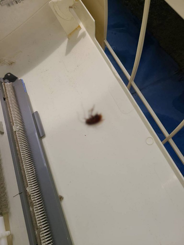 エアコンから虫が落ちる衝撃の理由！侵入経路の遮断と自力対策完全版