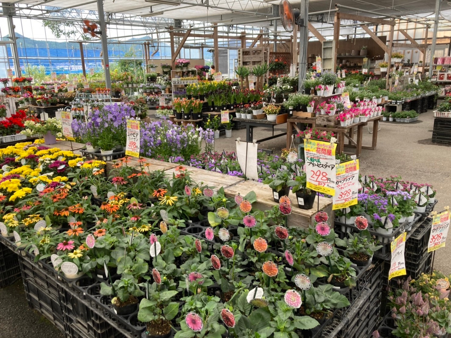 伊木山ガーデンの現在地｜モーニングの真相と産直・植物の魅力を徹底解説