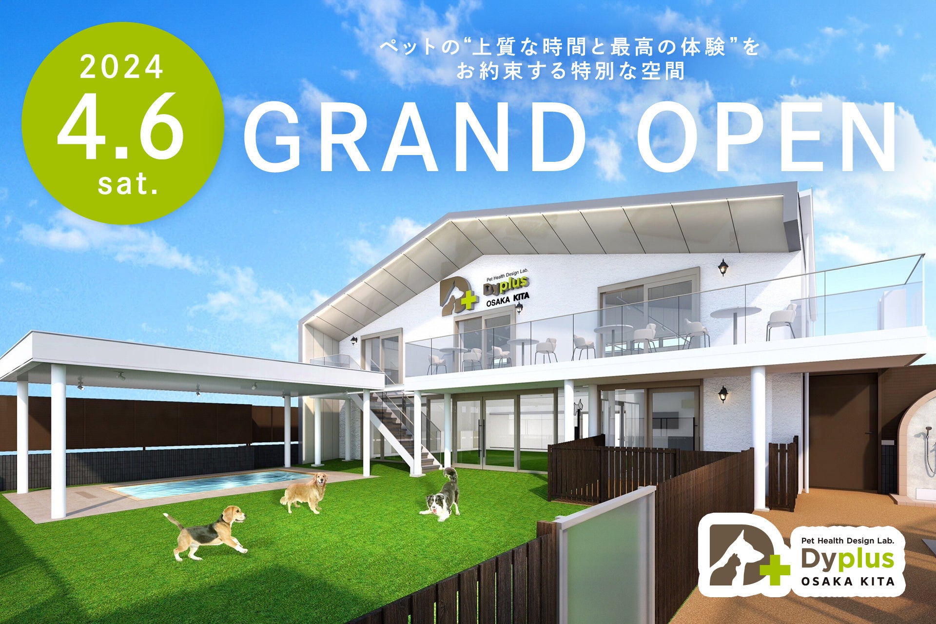 大阪の室内ドッグランおすすめ徹底比較！雨の日も大型犬Ok＆貸切人気店