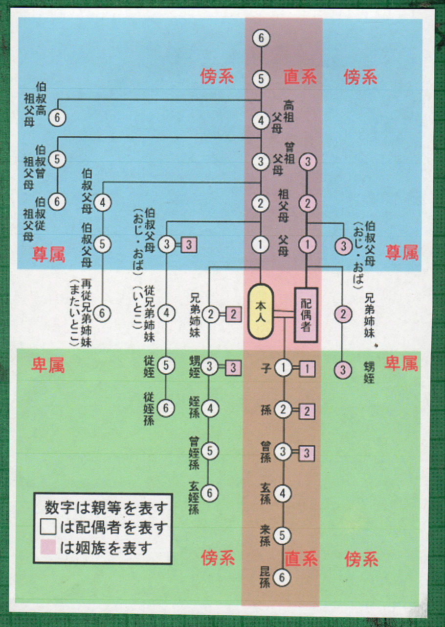玄孫とはどんな関係？読み方や何親等・相続権の意外な真実を徹底解説