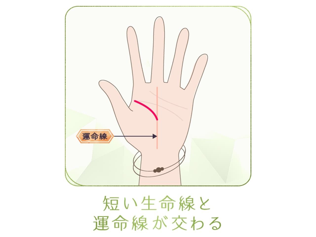 生命線が短いと短命は嘘？手相のプロが明かす寿命の真相と正しい見方