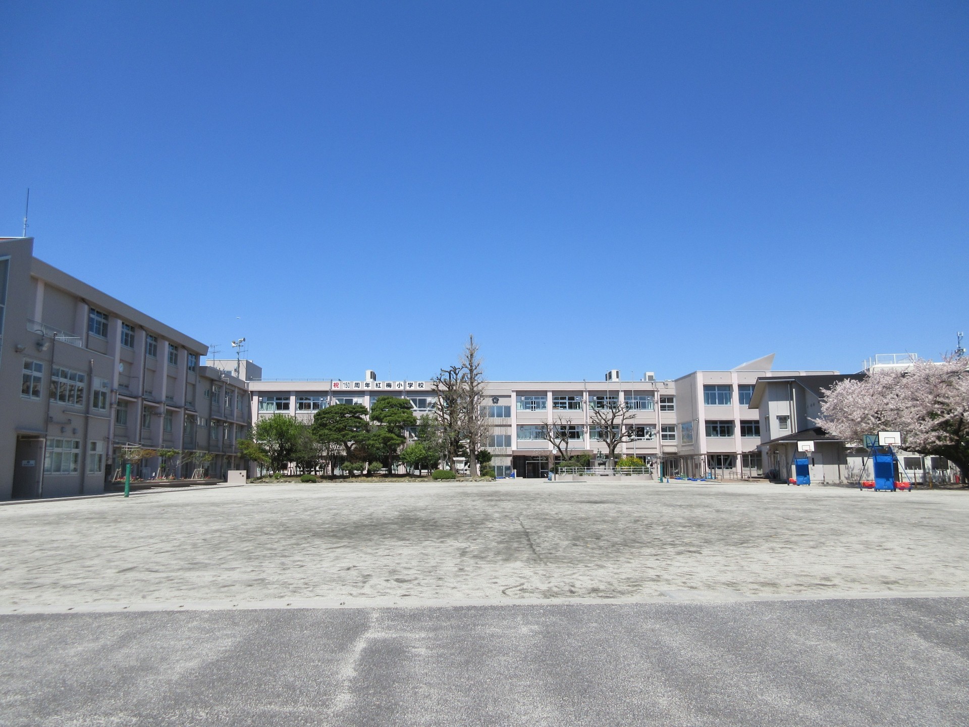 板橋区立紅梅小学校の評判と学区のリアル｜中学受験率から口コミまで徹底解剖