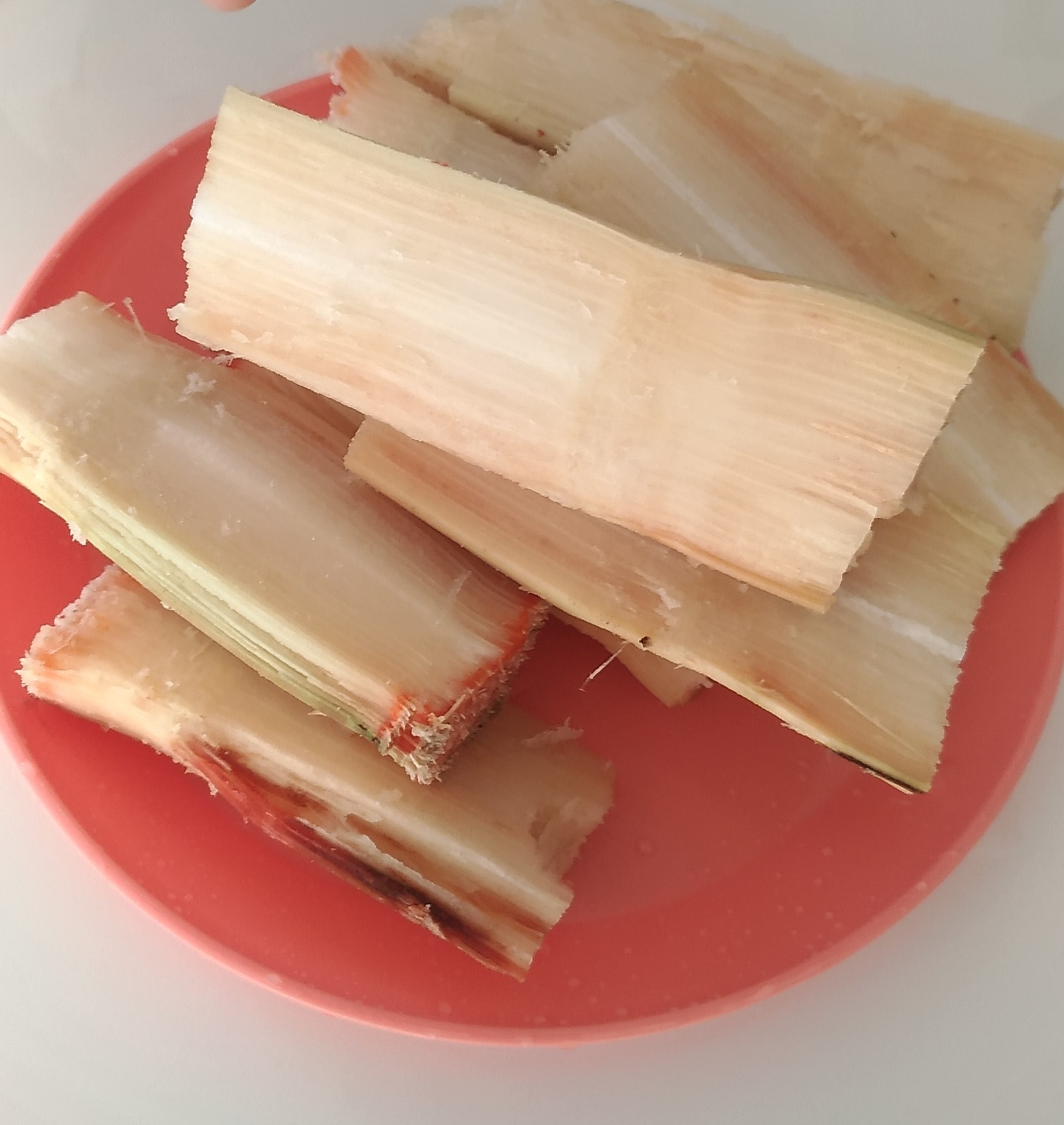 生サトウキビの食べ方を徹底解説！皮の剥き方や繊維の疑問を完全網羅