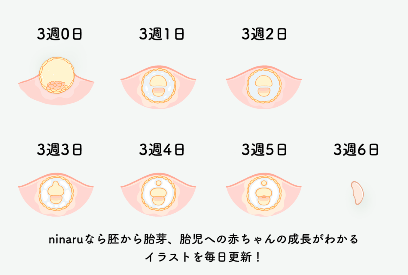妊娠3週目の症状とは？生理前との違いと着床サイン・過ごし方を徹底検証
