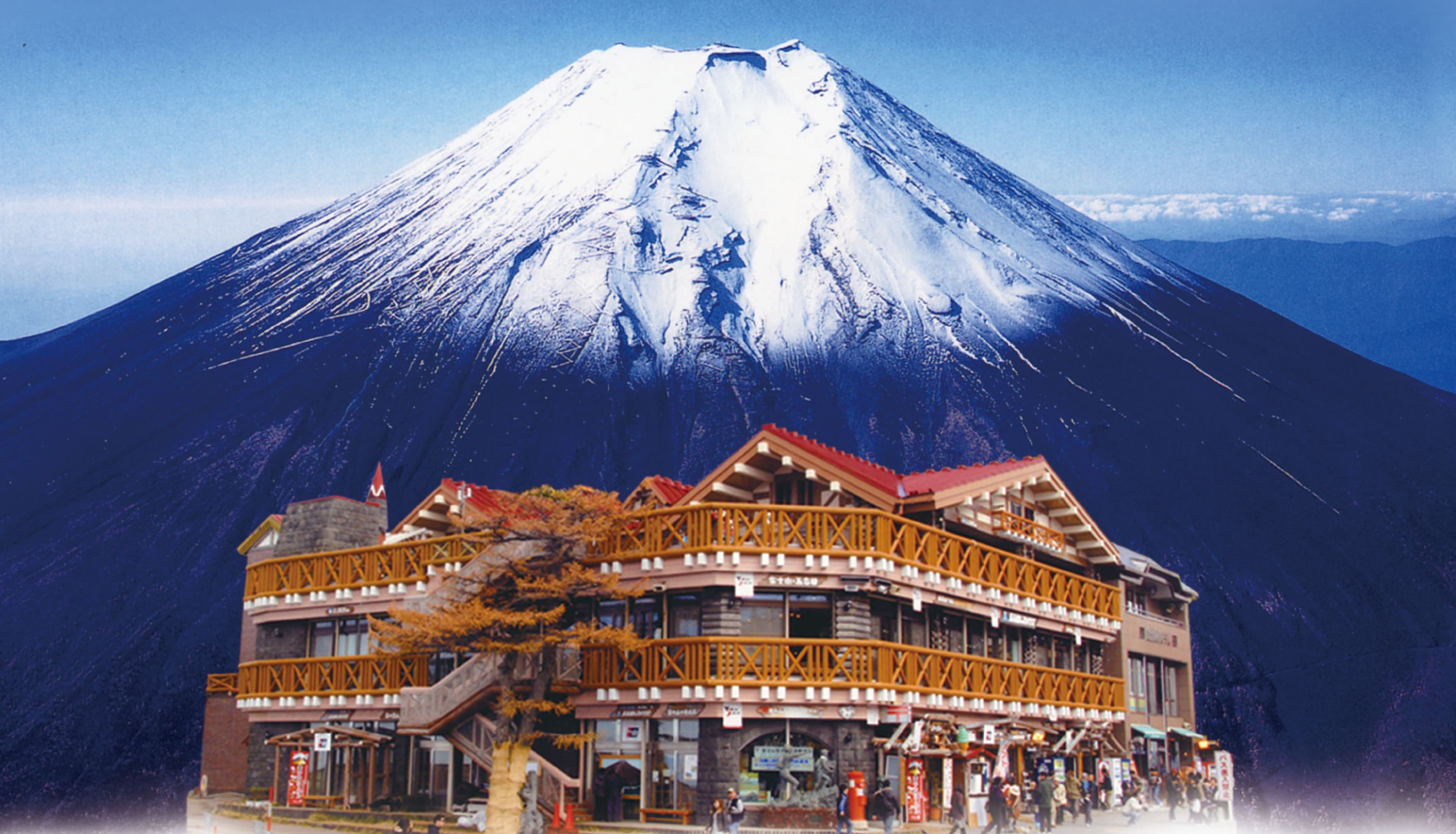 弥彦山・五合園レストハウスの現在｜閉鎖の噂と営業実態を徹底解明