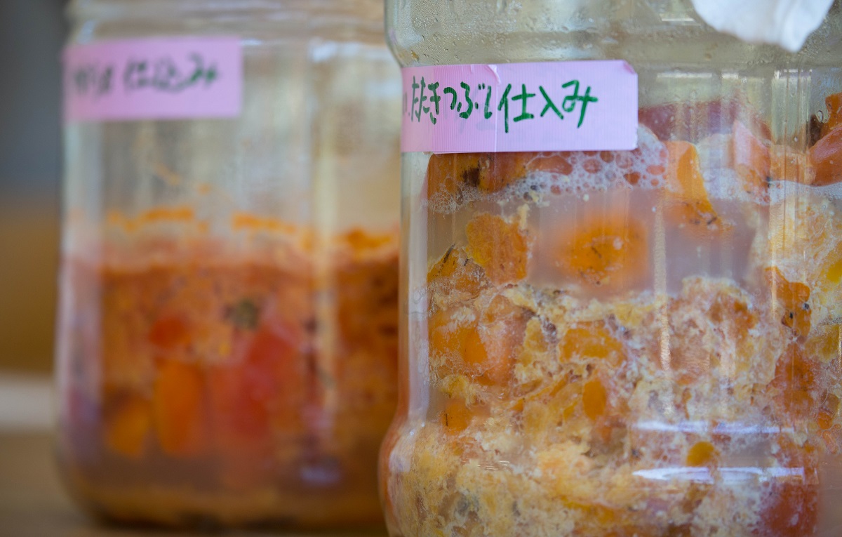 材料は柿だけ！失敗ゼロの柿酢の作り方と驚きの健康効果【2026最新】