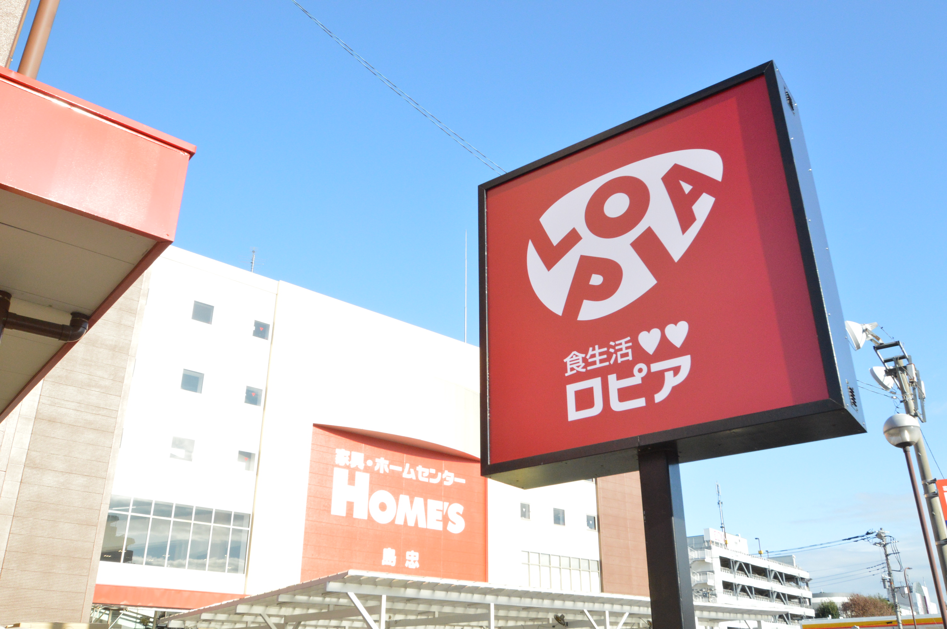 ロピア島忠ホームズ相模原店を徹底解剖！混雑回避と安さの裏ワザ