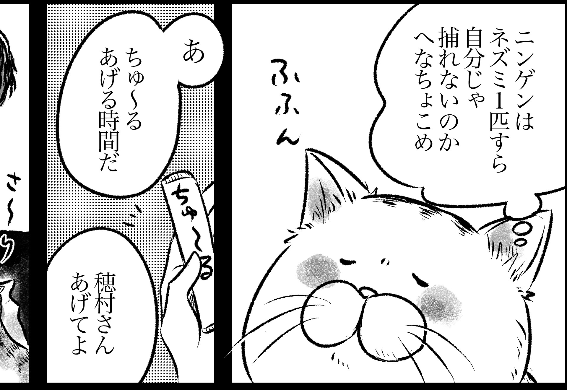猫が死ぬ前に挨拶する真相とは？突然甘えてくる理由と最期の看取り方