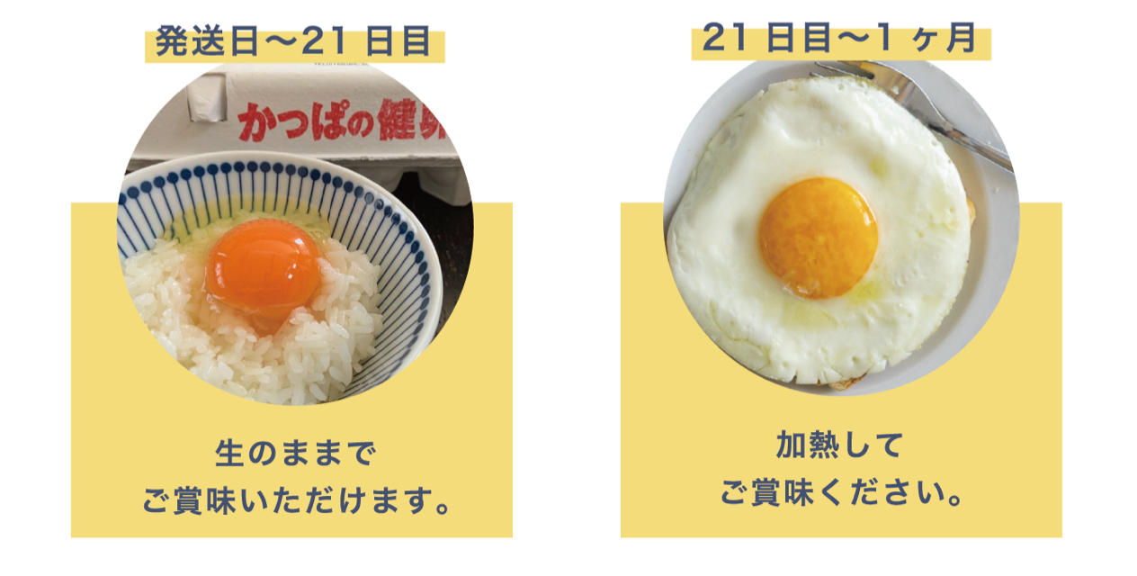 卵の賞味期限切れはいつまで加熱で平気？1ヶ月の噂と見分け方を徹底検証