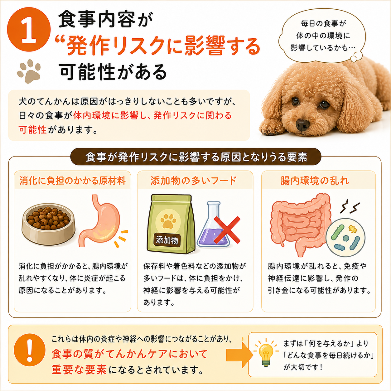 犬のてんかん原因はストレス？急な発作の真相と2026年最新治療法