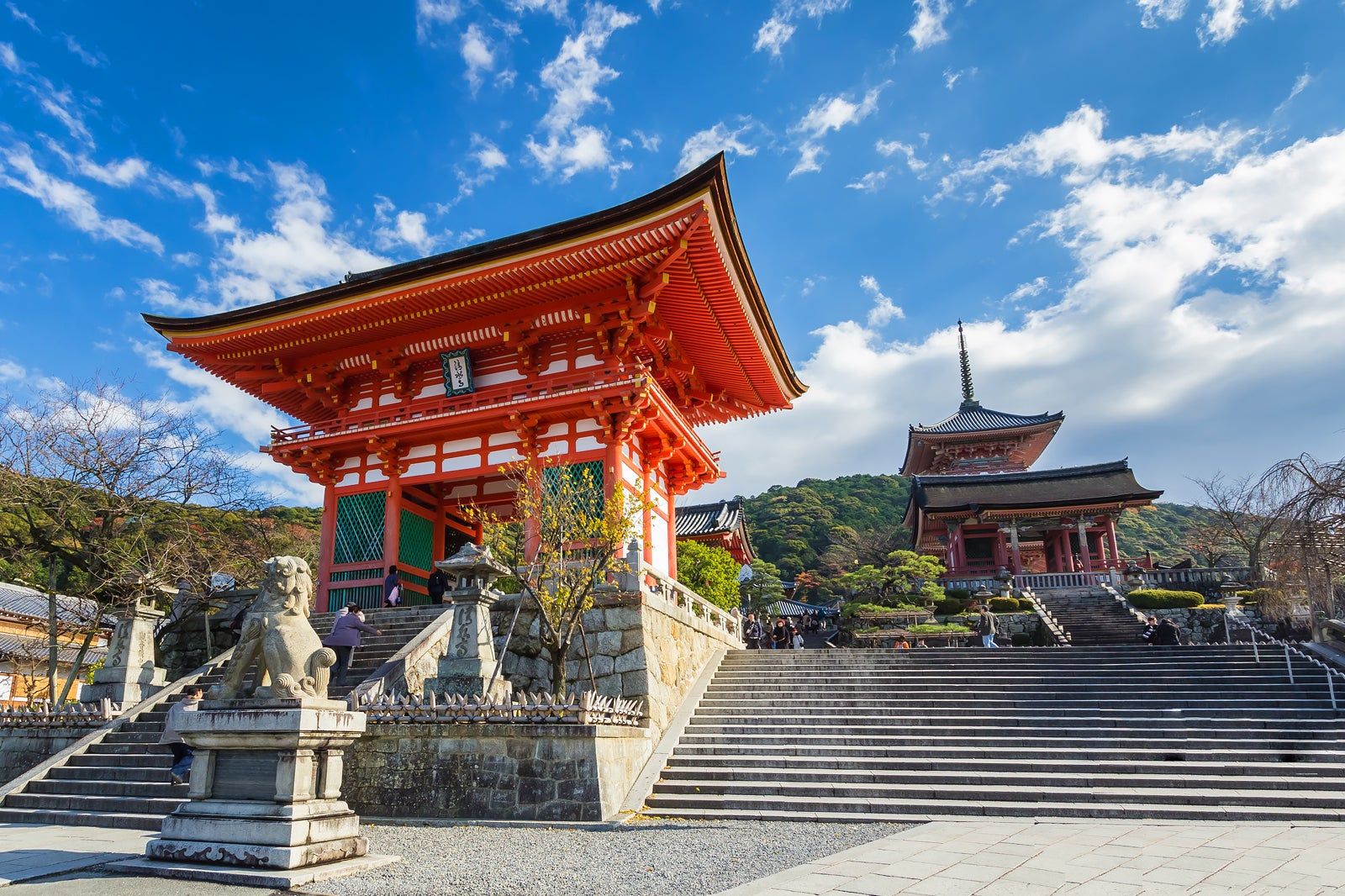 京都の有名寺院はなぜ魅了するのか？2026年最新見どころと混雑回避術