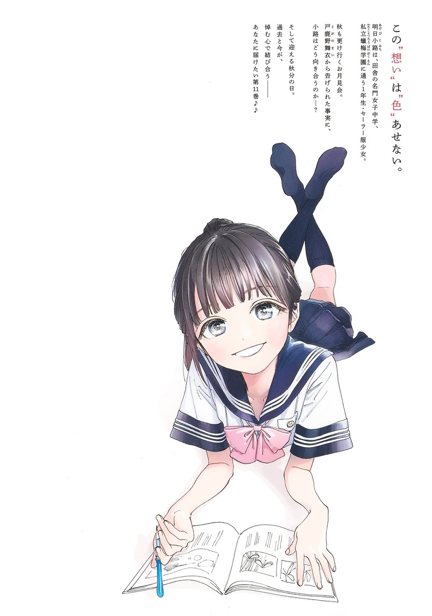 『明日ちゃんのセーラー服』はなぜエロいと検索？神作画とフェチの真相