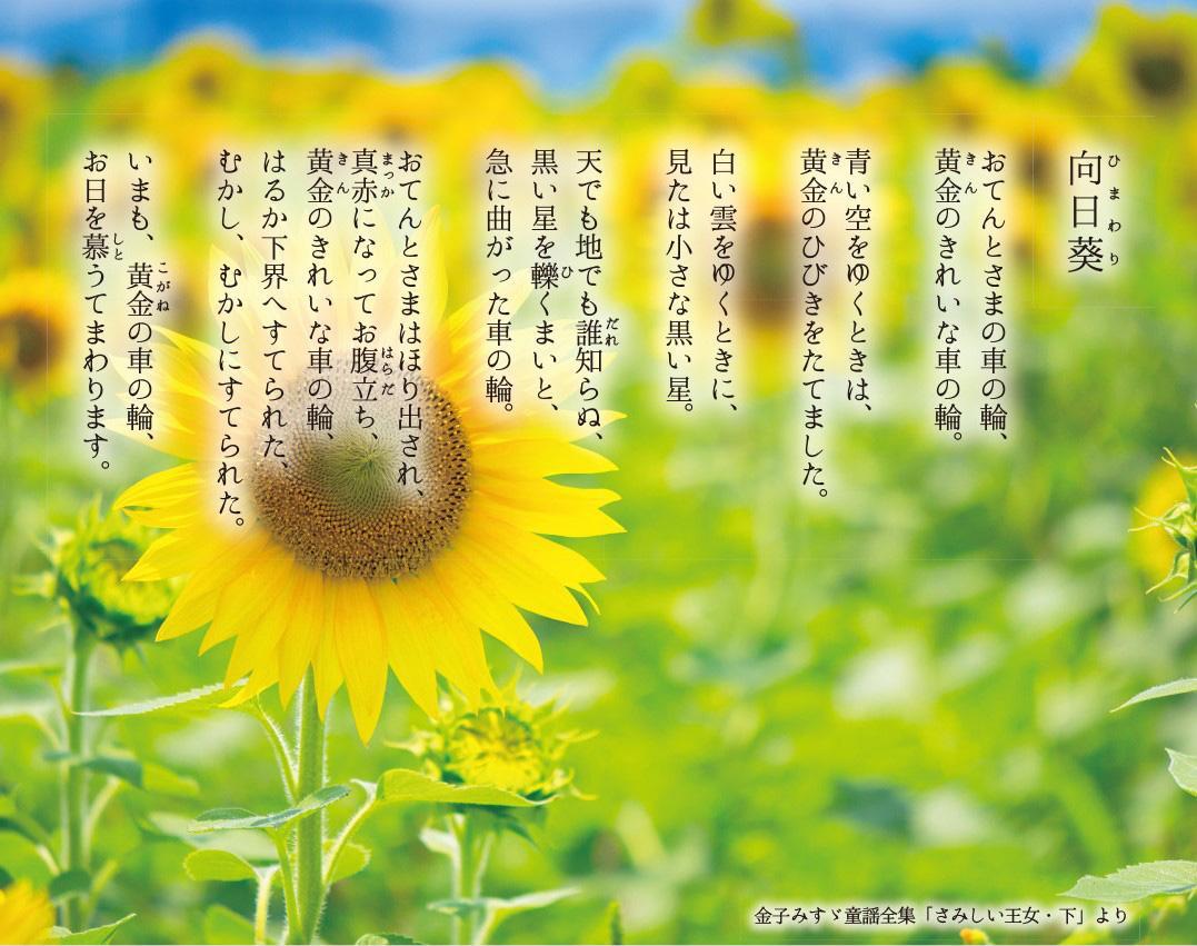 なぜ金子みすゞの詩は心に刺さるのか？代表作に隠された壮絶な生涯の真相