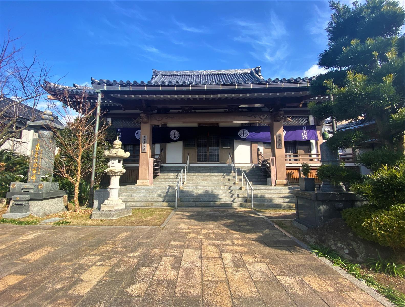 大阪・専念寺が話題沸騰！猫御朱印と住職の言葉が心を動かす真相