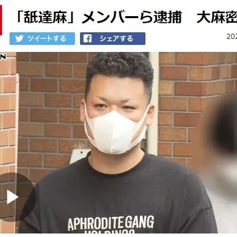 【速報】 舐 達 麻 逮捕 徹底解説＆真相まとめ #803