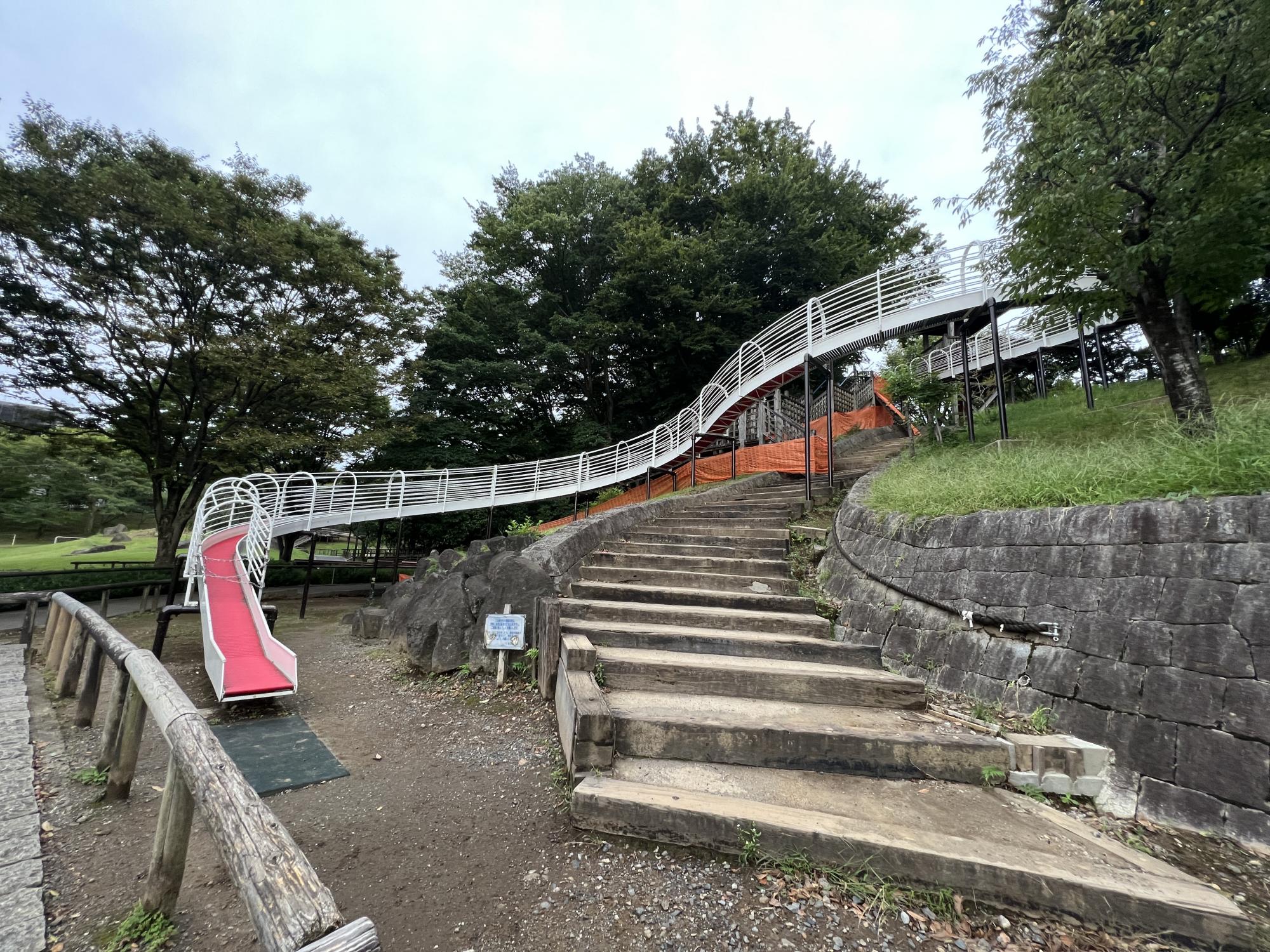 清水坂公園2026完全ガイド！滑り台や水遊びと駐車場混雑の極意
