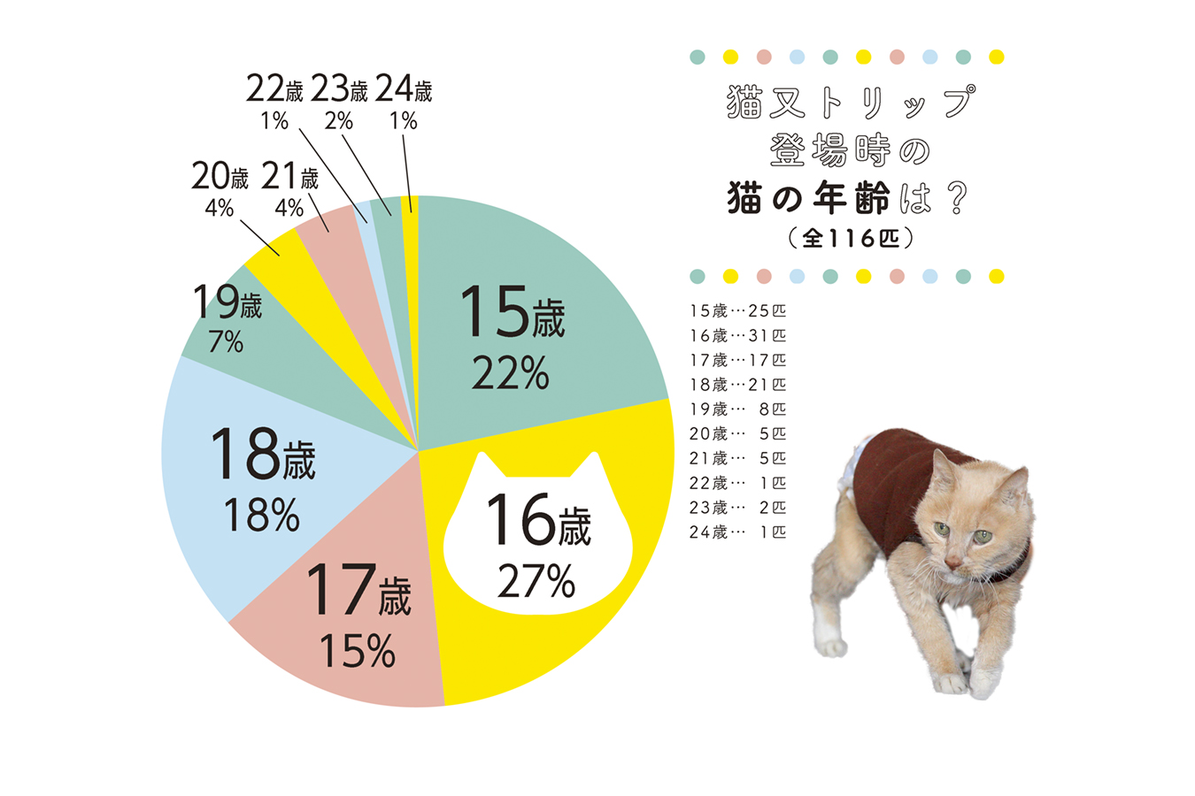 猫の平均寿命は15歳超へ！室内飼いで差がつく理由と寿命を延ばす秘訣