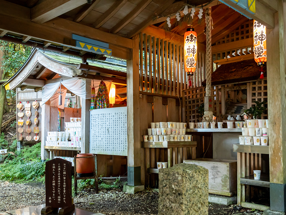 恋の水神社の効果は本物か？紙コップ参拝の作法と噂の真相【2026最新】