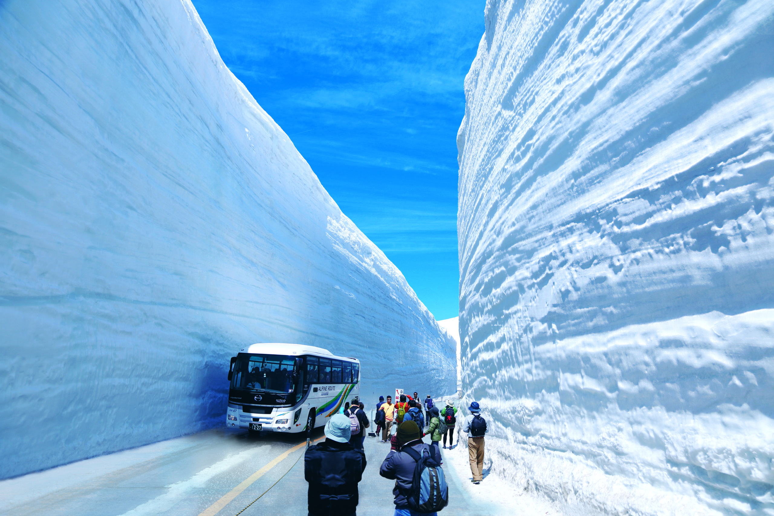 【2026最新】雪の回廊の開通時期と見頃比較！絶景名所と混雑回避の極意