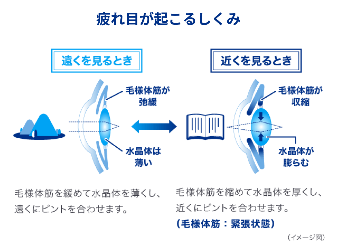 目がしょぼしょぼする原因と治し方｜眼精疲労・病気のサインを見抜く