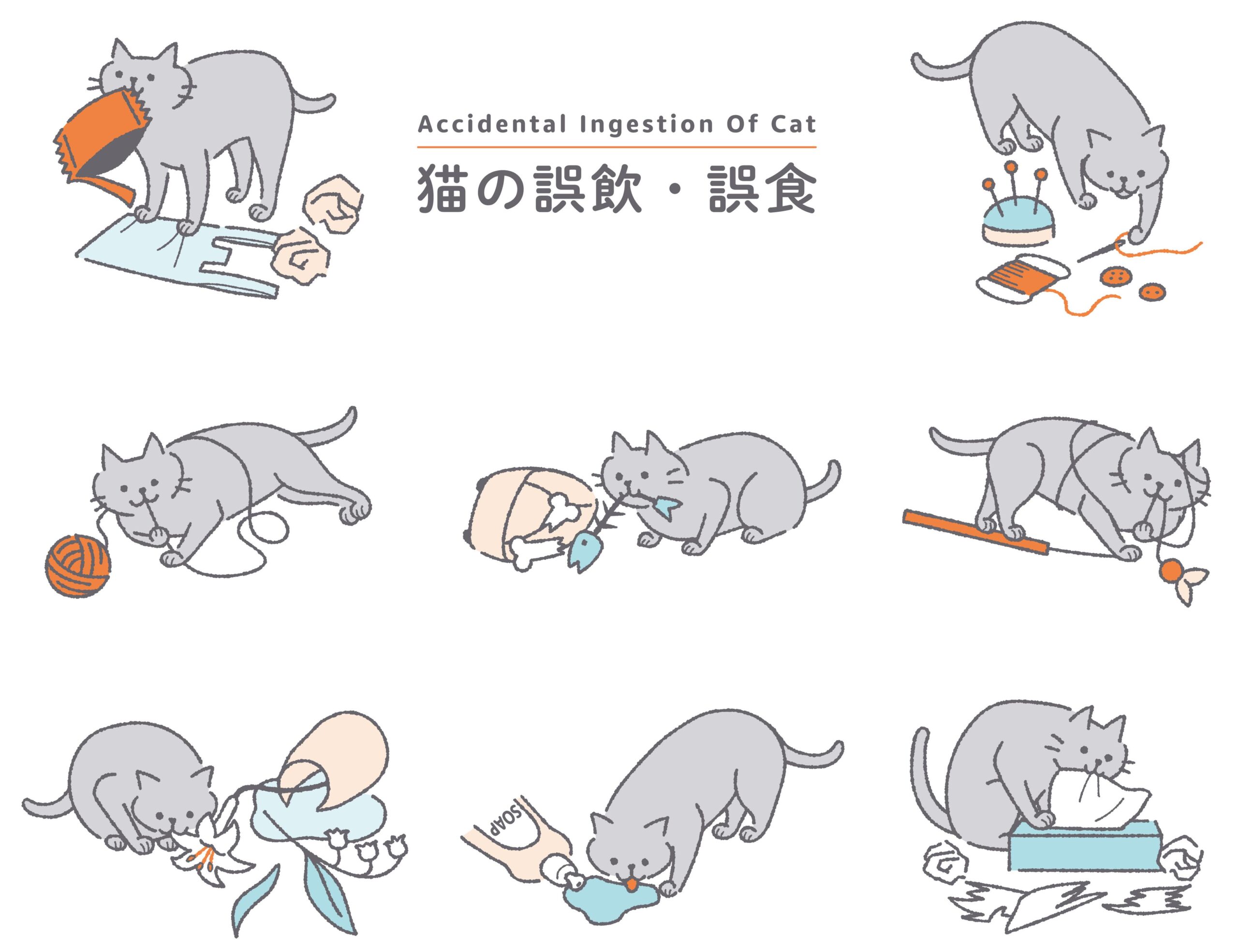 猫の誤飲は「元気な時」こそ危険！絶対Ngな対処法と最新受診基準